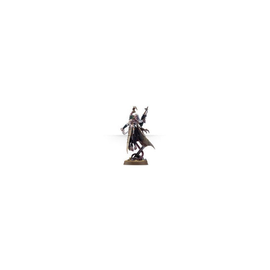 Drukhari: Haemonculus (VPC)