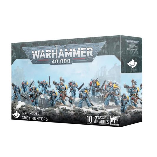 Space Wolves: Chasseurs Gris
